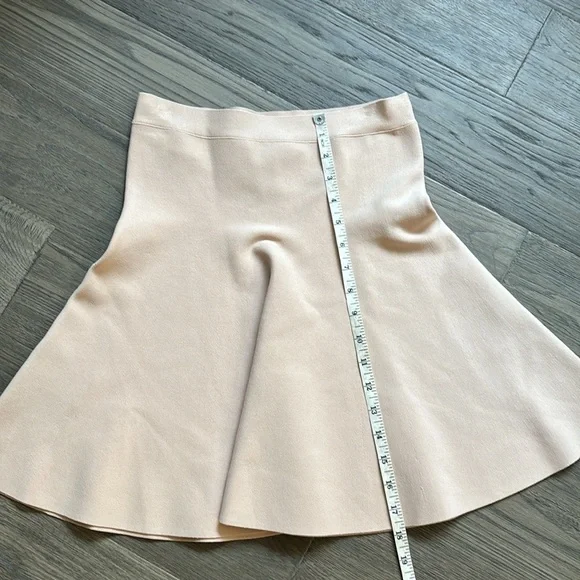 🔥BCBGMaxaria🔥 | Ingrid a-line high waisted skirt in bare pink - Picture 10 of 13